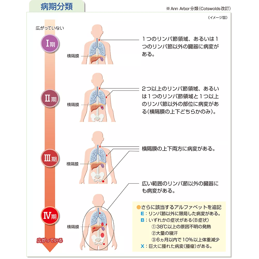 drs_net_ic08_01_rev.png drs_net_ic08_01_rev.png