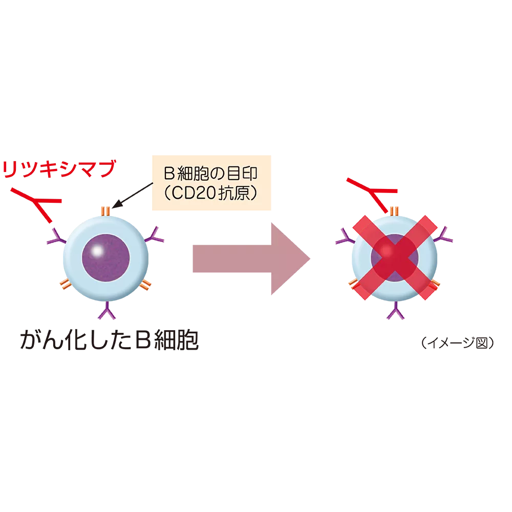 drs_net_ic08_03_rev.png drs_net_ic08_03_rev.png