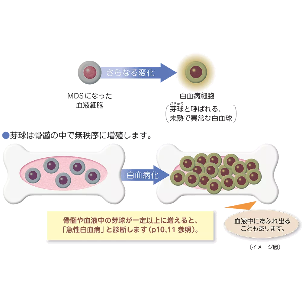 drs_net_ic09_02.png drs_net_ic09_02.png