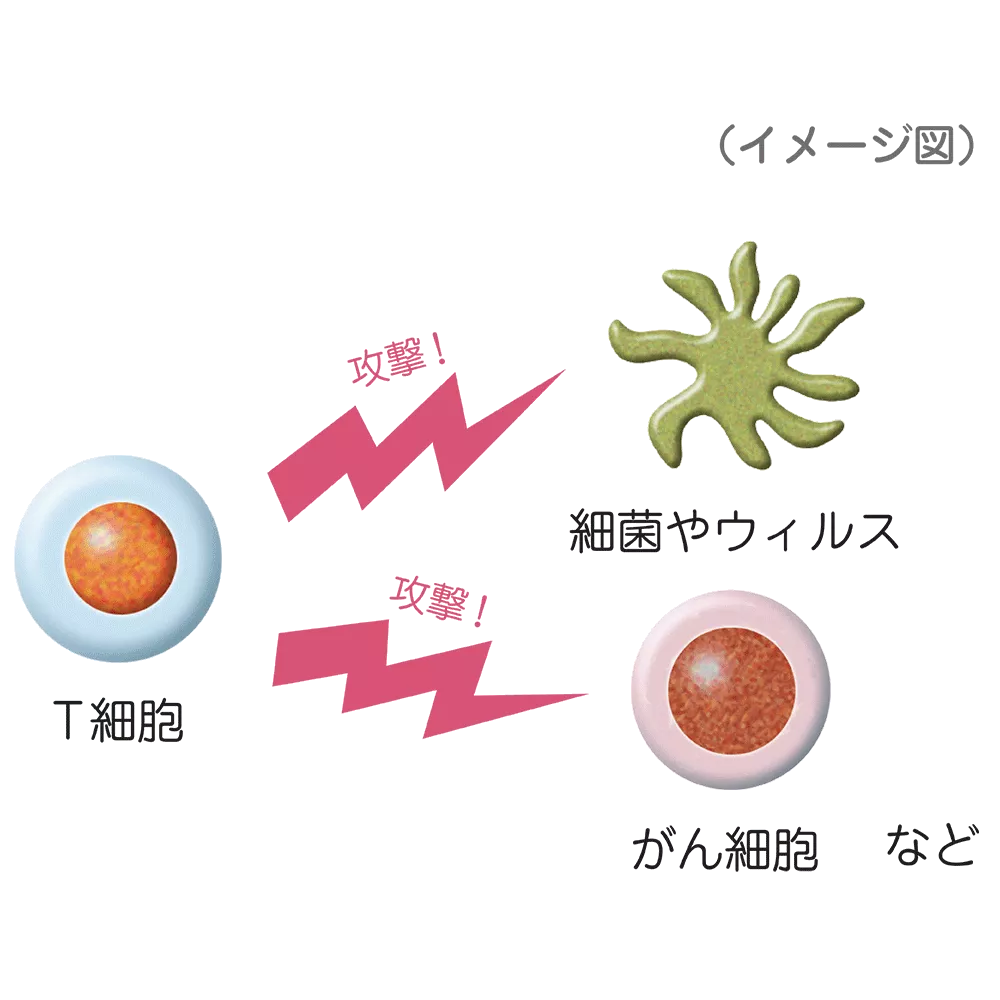 drs_net_ic10_01.png drs_net_ic10_01.png