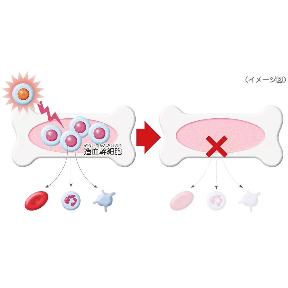drs_net_ic10_02.png drs_net_ic10_02.png