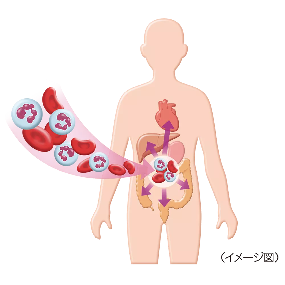 drs_net_ic17_04.png drs_net_ic17_04.png