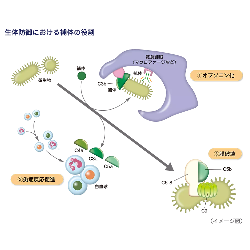 drs_net_ic18_01.png drs_net_ic18_01.png