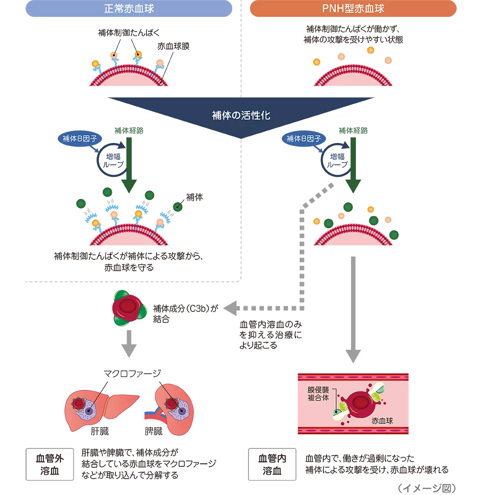 drs_net_ic18_02.png drs_net_ic18_02.png
