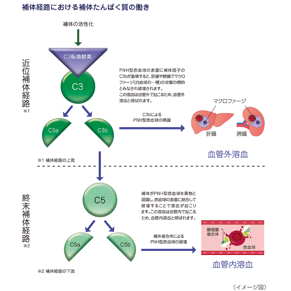 drs_net_ic18_03.png drs_net_ic18_03.png
