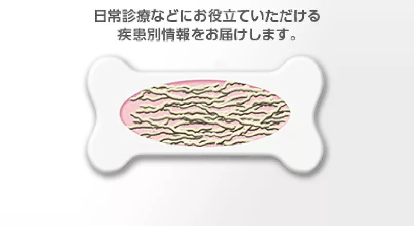 陰謀団式療法 日本語 3枚セット 陰謀団式療法/Cabal Therapy》[JUD] 黒U | 日本最大級 MTG通販