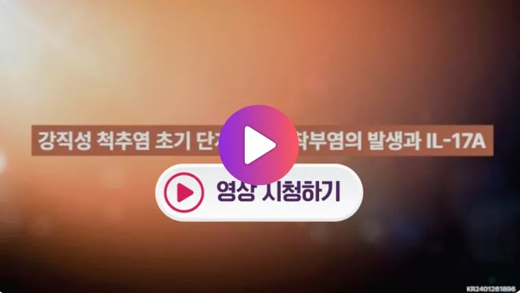 류마티스 썸네일 1.jpg