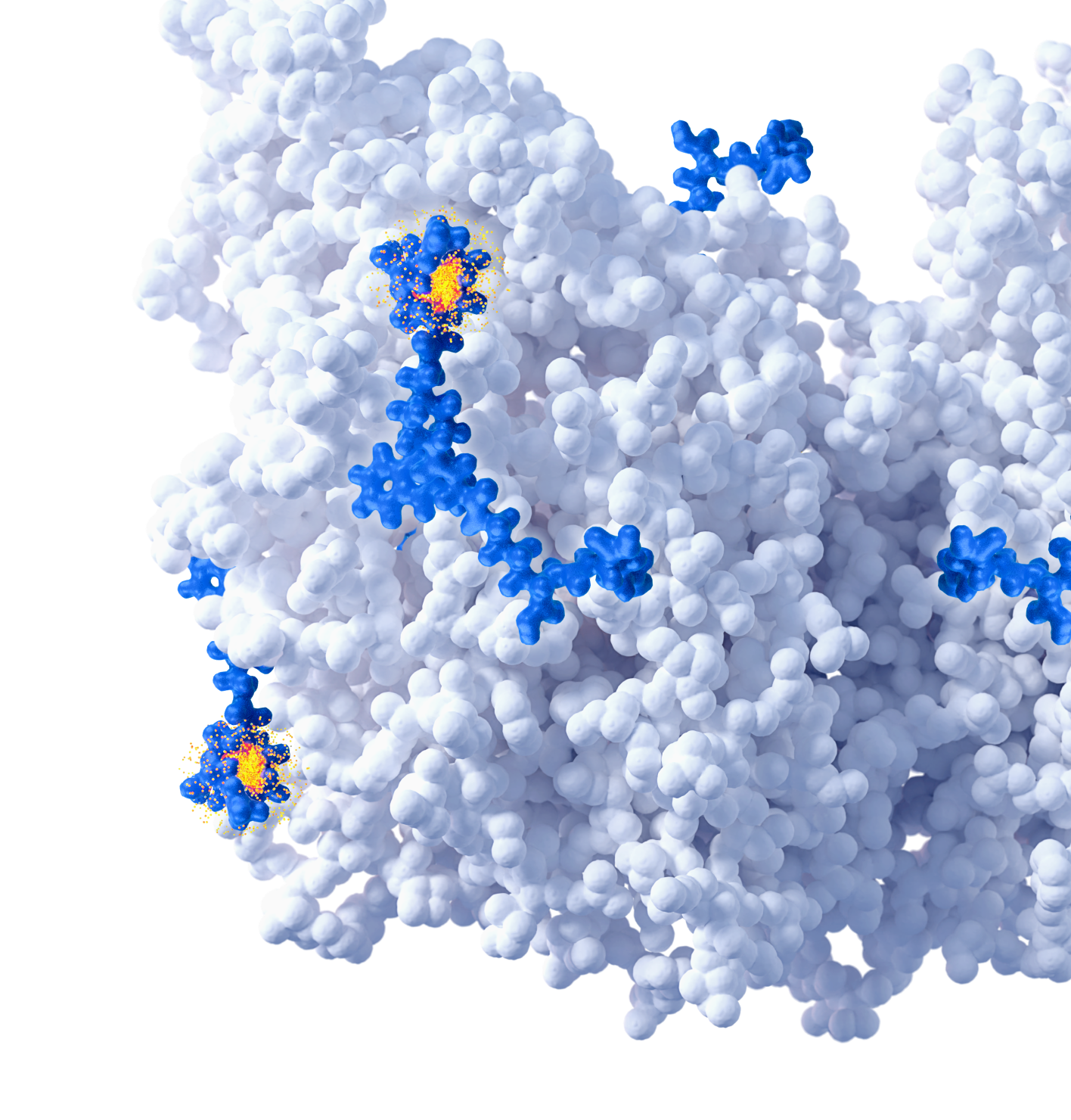 science of rlt science of rlt
