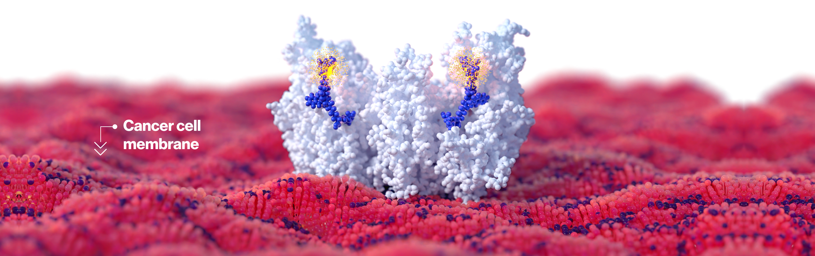 The science behind RLT section 3 image The science behind RLT section 3 image