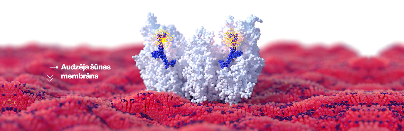 The science behind RLT section 3 image The science behind RLT section 3 image