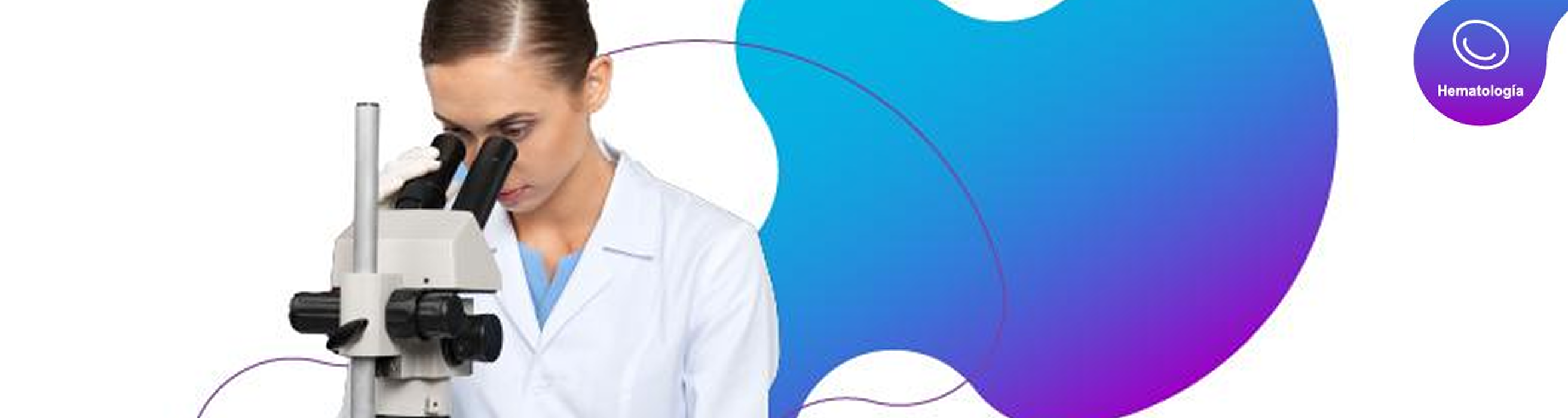 banner banner