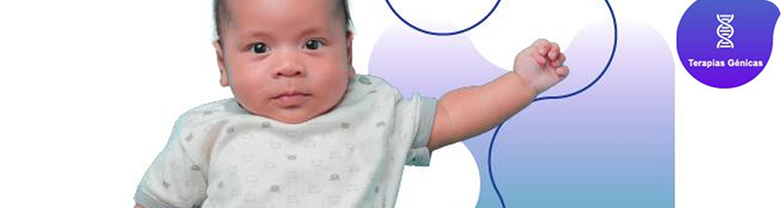 banner banner