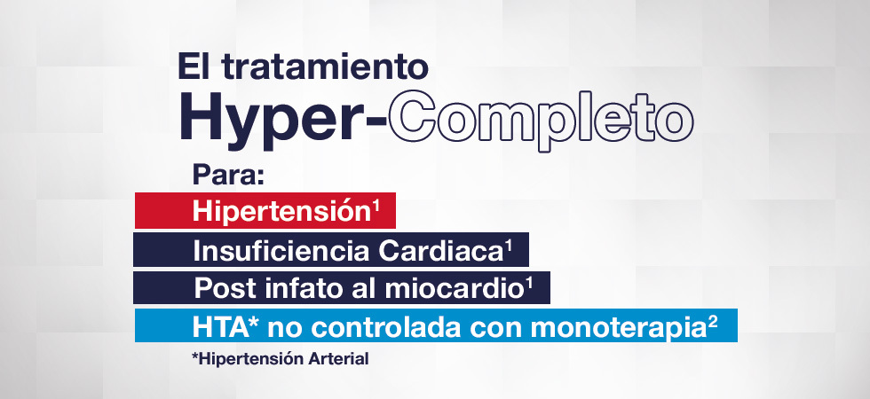 Banner Banner