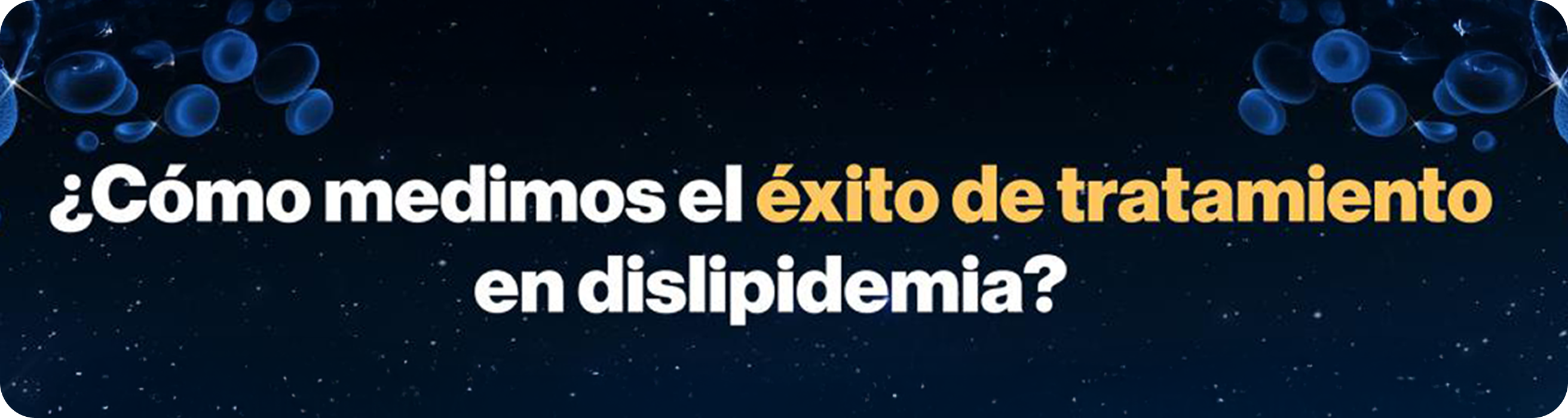 banner banner