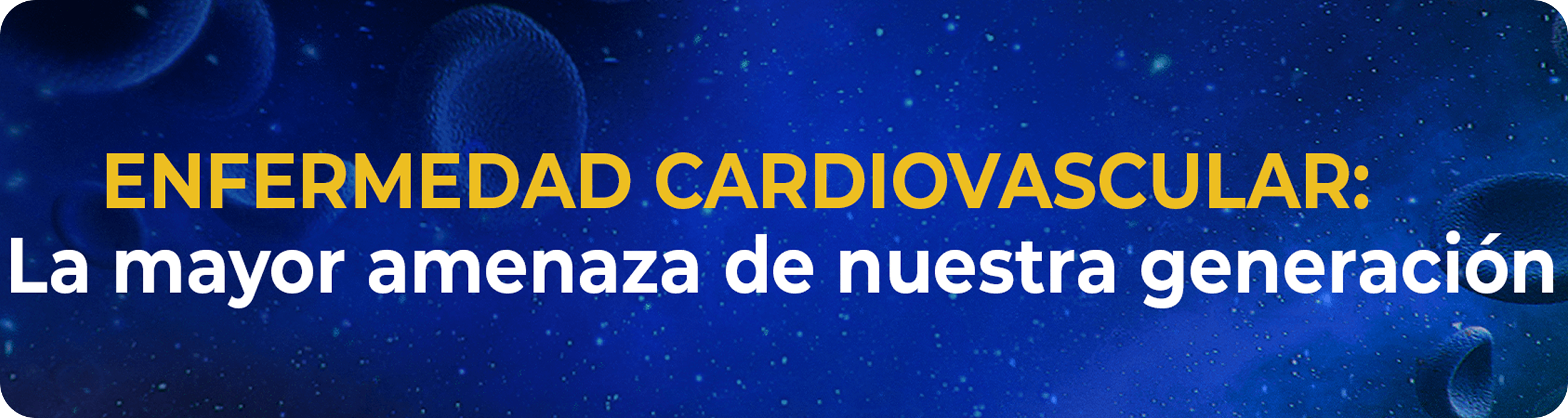 banner banner