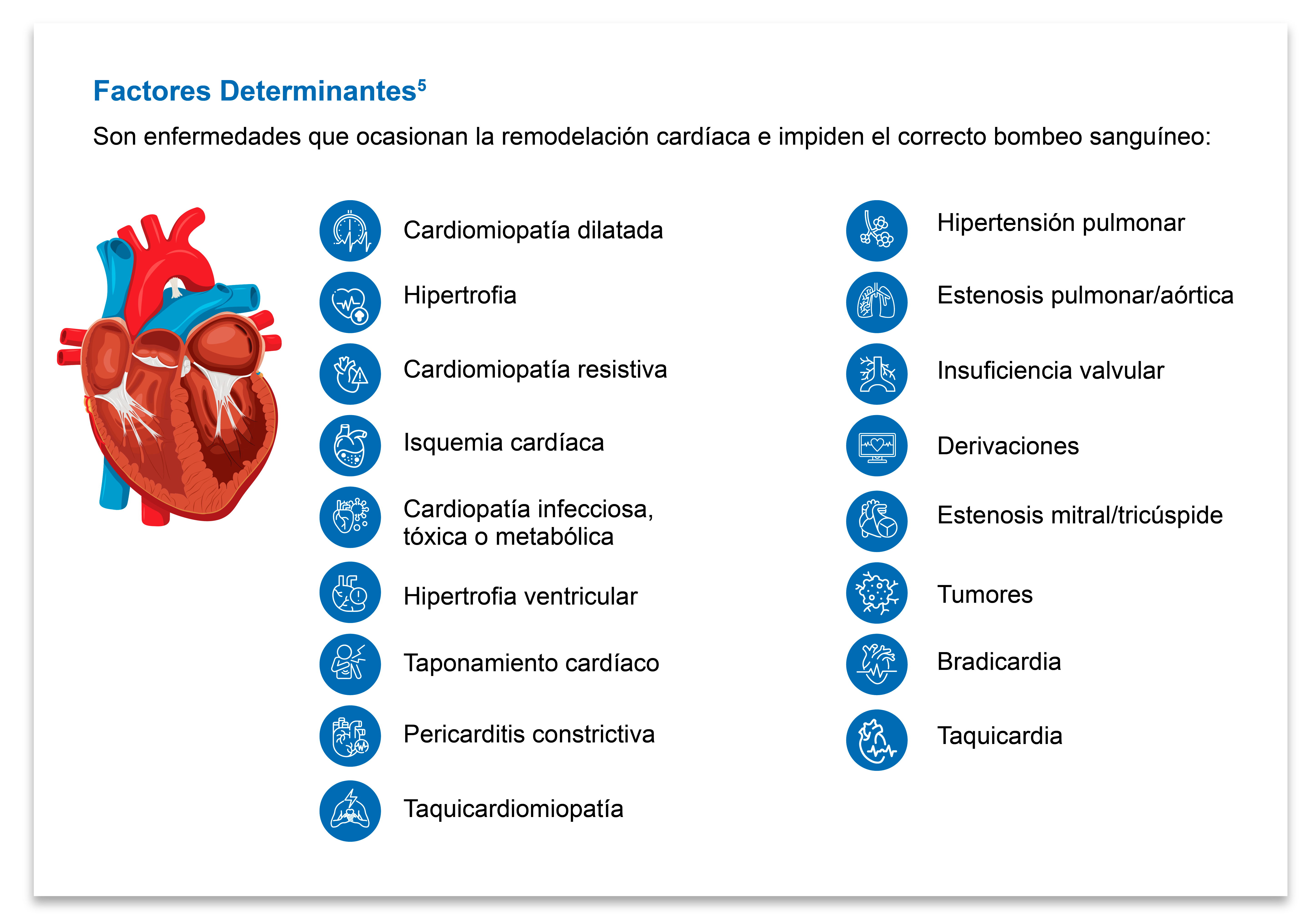 Factores Determinantes Factores Determinantes