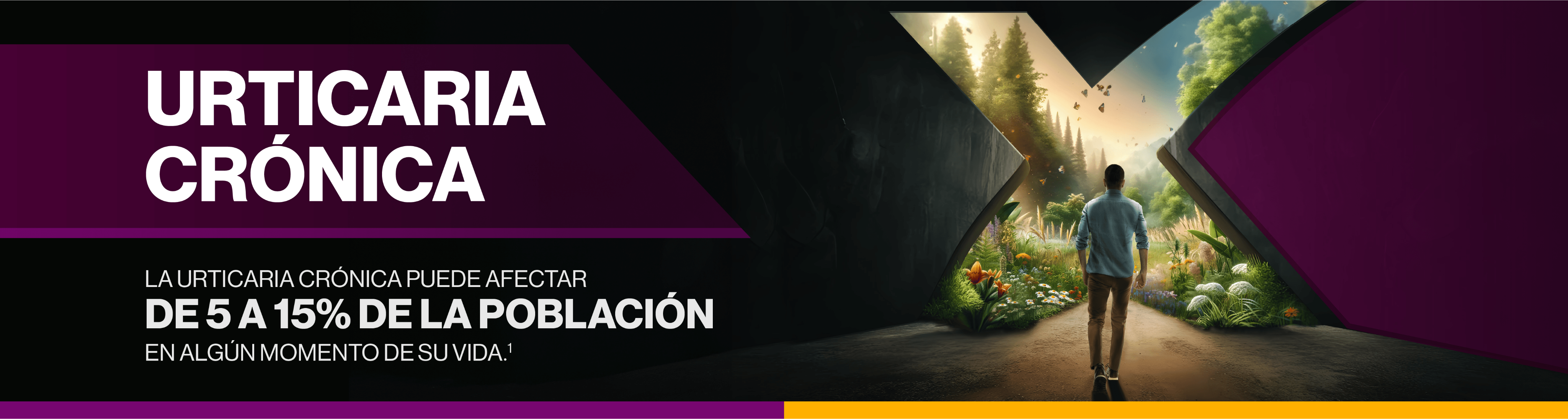 Xolair Urticaria Xolair Urticaria