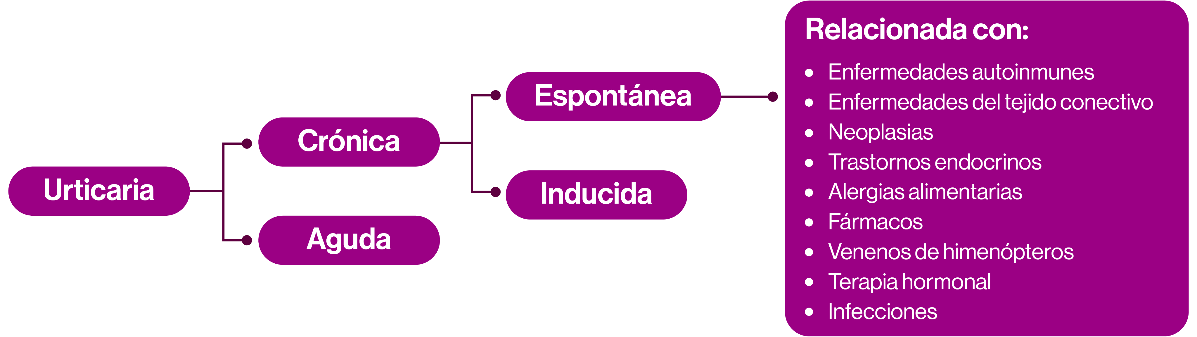 Xola esquema 2 Xola esquema 2
