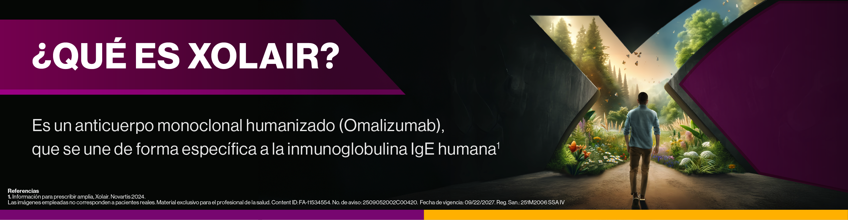 Xolair Header Xolair Header