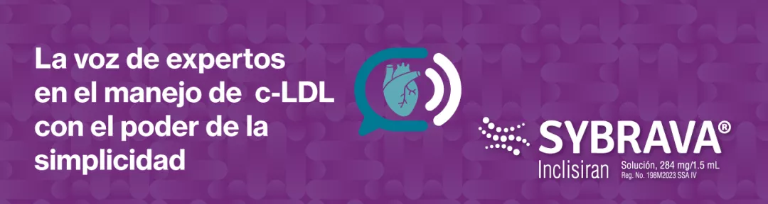 Header-Landing-Sybrava