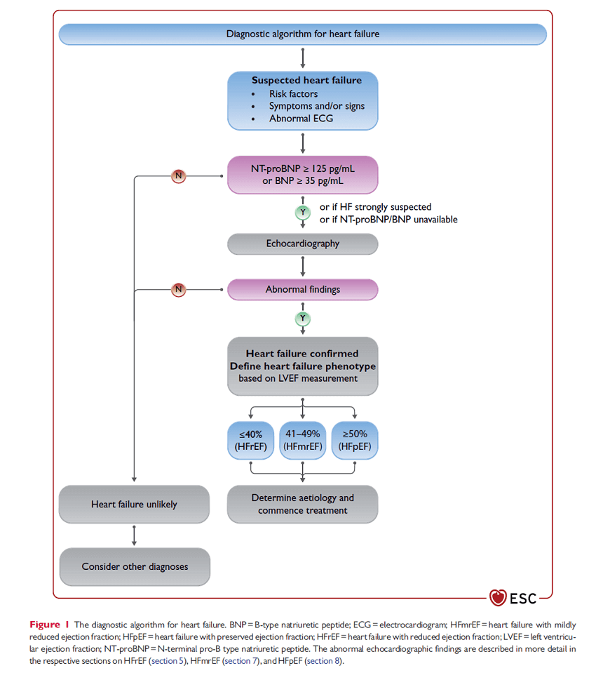Symptomen en diagnose sacubitril-valsartan - Novartis Cardiologie Hartfalen Symptomen en diagnose sacubitril-valsartan - Novartis Cardiologie Hartfalen