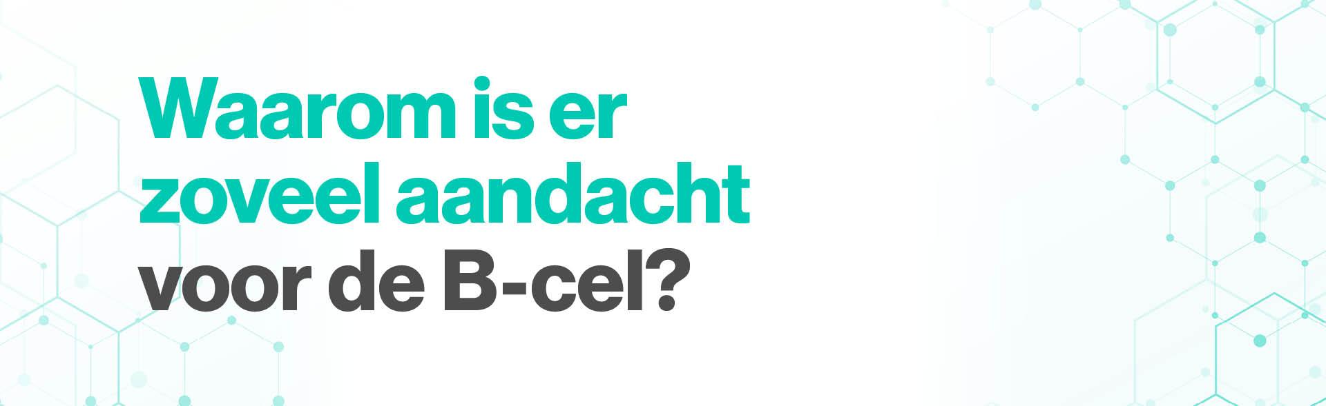 Waarom is er zoveel aandacht voor de B-cel? Waarom is er zoveel aandacht voor de B-cel?