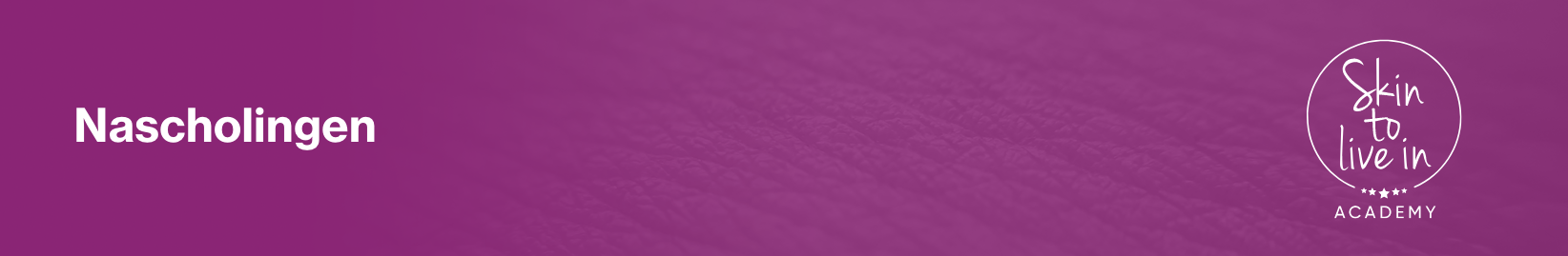 stli nascholingen header stli nascholingen header