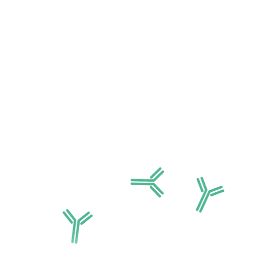 animatie neutraliserende antilichamen