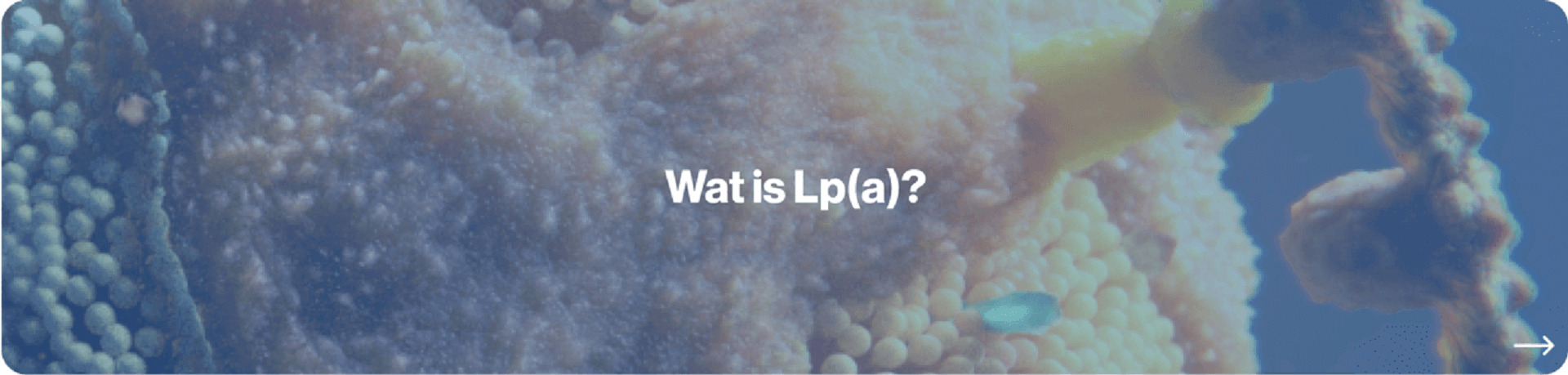 Wat is Lp(a) Novartis Cardiologie lipoproteine(a) 