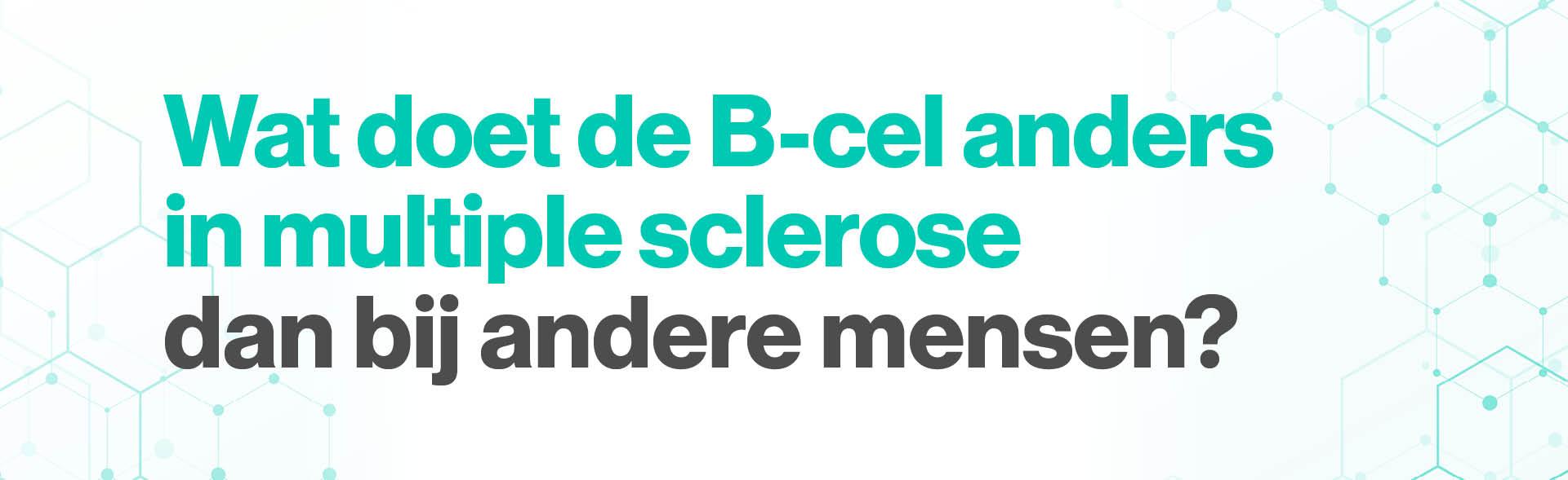 Wat doet de B-cel anders in mensen met MS? Wat doet de B-cel anders in mensen met MS?