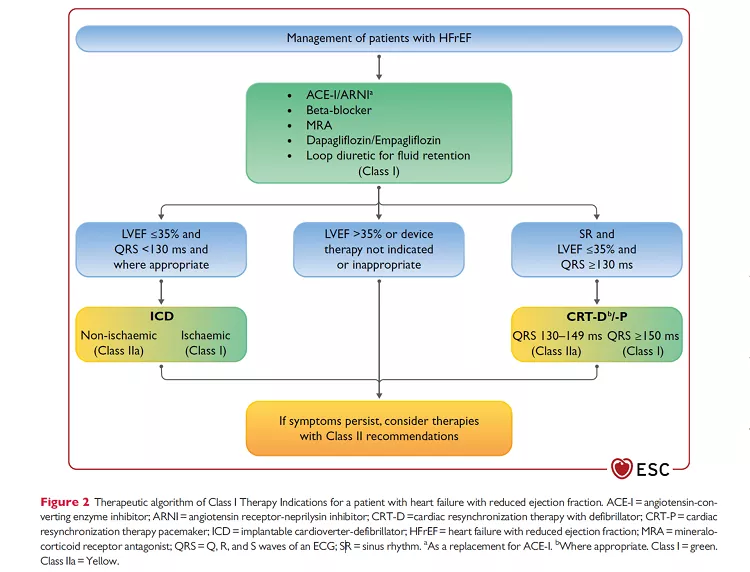 Behandeling HFrEF sacubitril valsartan - Novartis Cardiologie Hartfalen