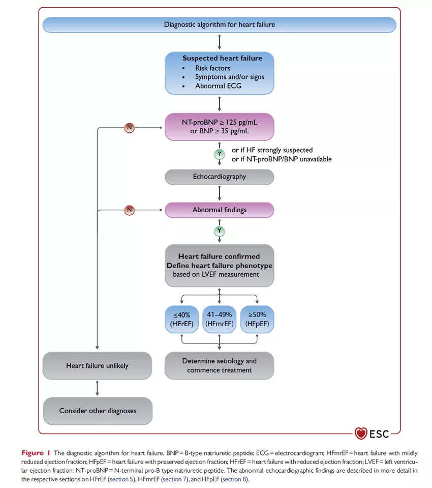 Symptomen en diagnose sacubitril-valsartan - Novartis Cardiologie Hartfalen