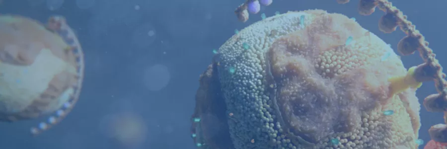 Lp(a) Novartis Cardiologie Lipoproteine (a) blok