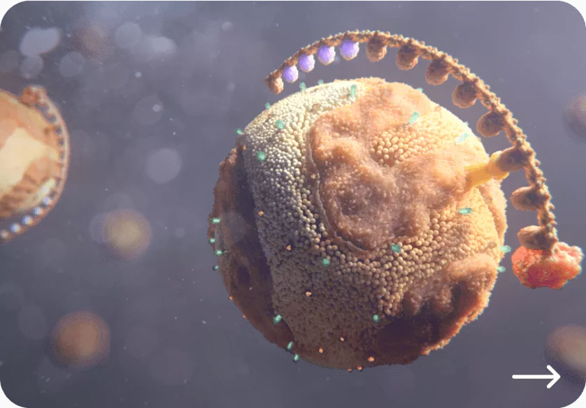 Wat is Lp(a) Novartis Cardiologie lipoproteine(a)