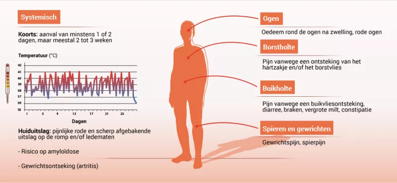 Infographic met mogelijke symptomen van HIDS/MKD