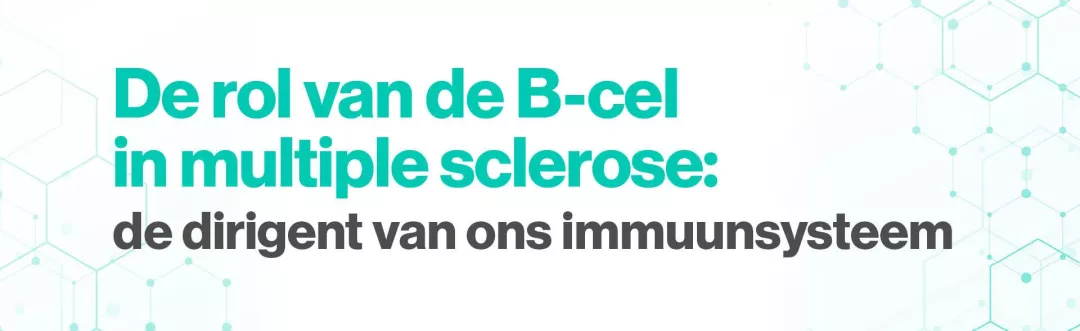 De rol van de B-cel in multiple sclerose