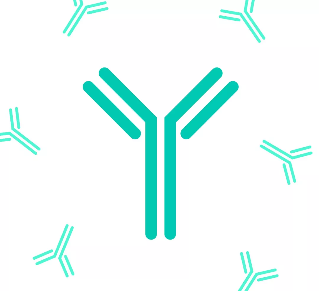Illustratie monoklonale antilichamen 