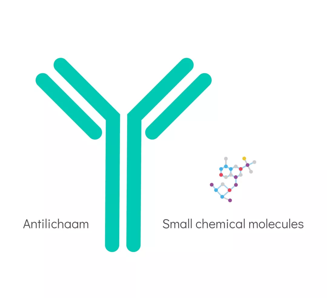Illustratie monoklonale antilichamen 
