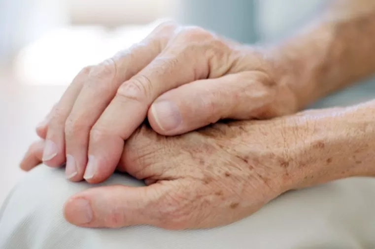 Therapeutische gebieden