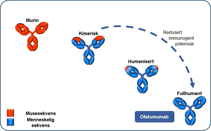 kimerisk_humanisert_og_fullhumant_kesimpta.jpg