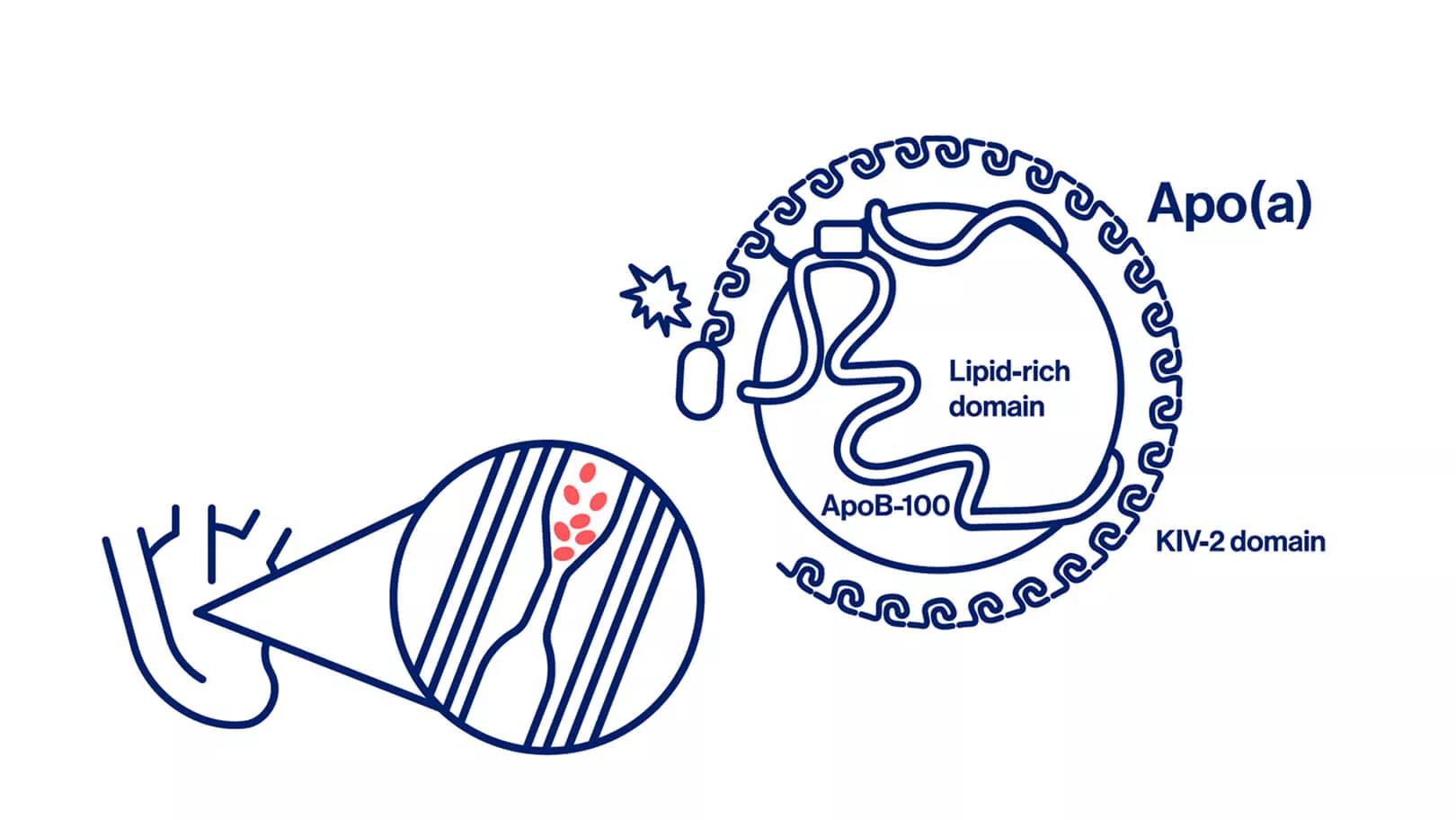 key-insights-for-clinical-practice-thumb.jpg key-insights-for-clinical-practice-thumb.jpg