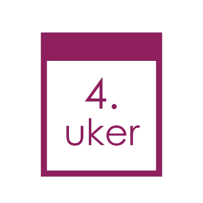 no_4._uker4x.png