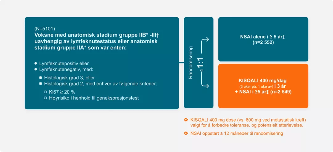 Voksne med anatomisk stadium IIB