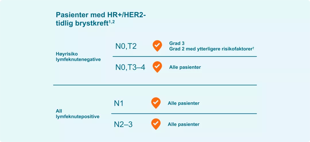 KISQALI kan brukes av HR+/HER2- pasienter med økt risiko for tilbakefall
