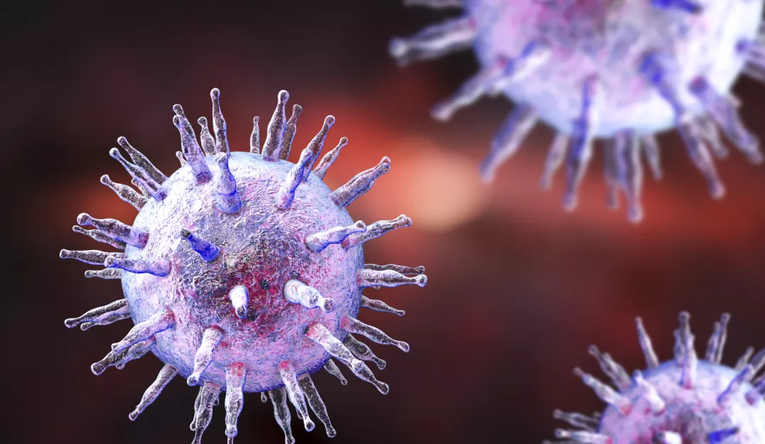 Nytt forskningsprosjekt om kyssesykevirus og MS