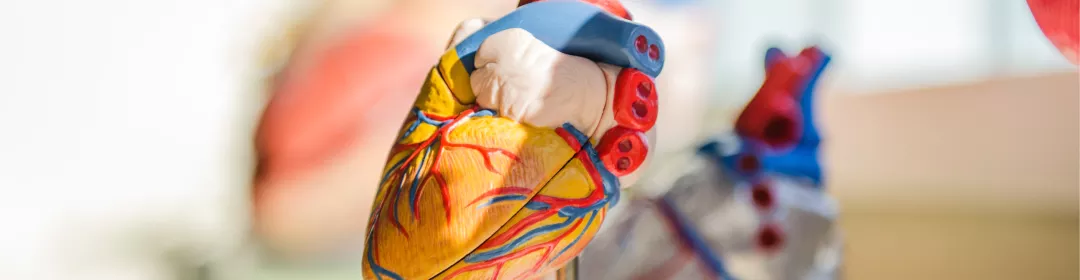 Hjertesviktakademiet event banner