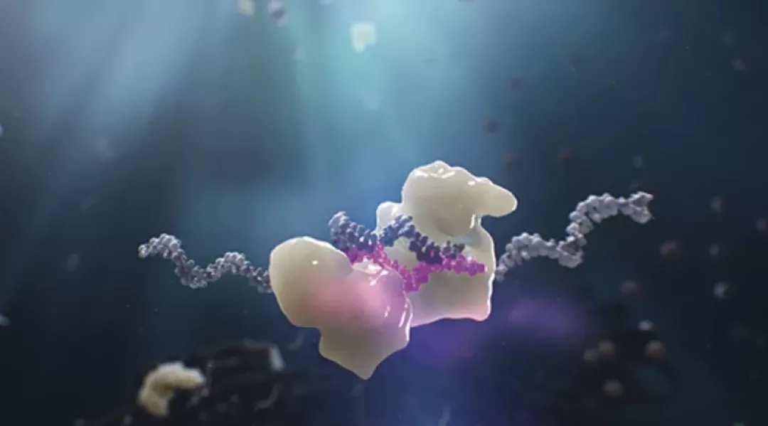 LEQVIO/RISC-komplekset dirigeres til målproteinets mRNA, og bryter ned multiple kopier av dette. Dermed forhindres produksjon av målproteinet (PCSK9)3