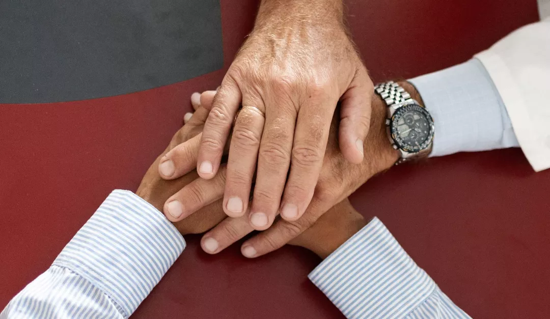 lipids-academy-opisy