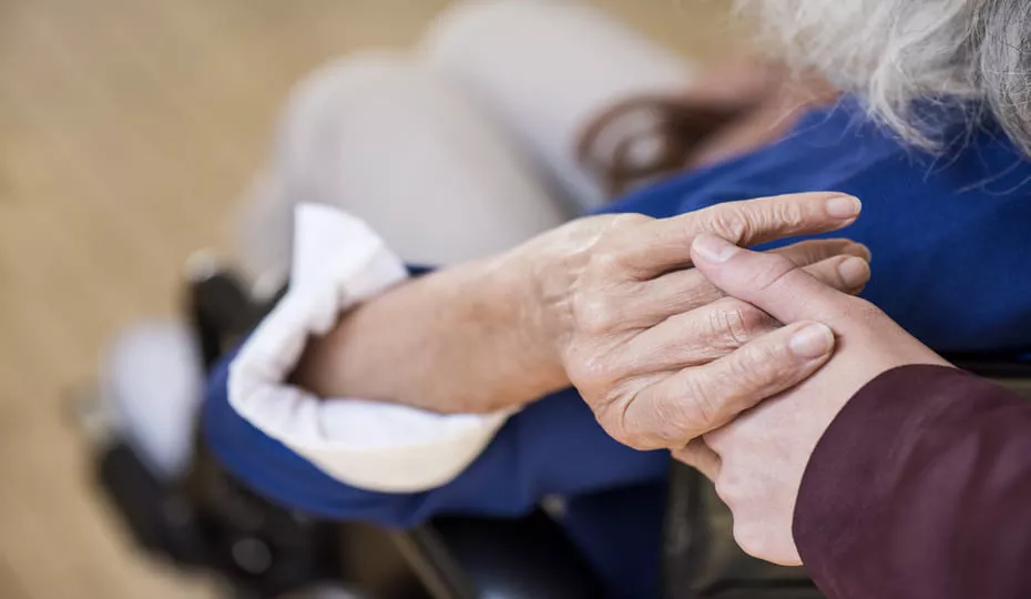 lipids academy test lipids-academy-test