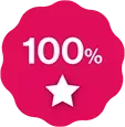 100%_icon_113